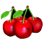 Вишня